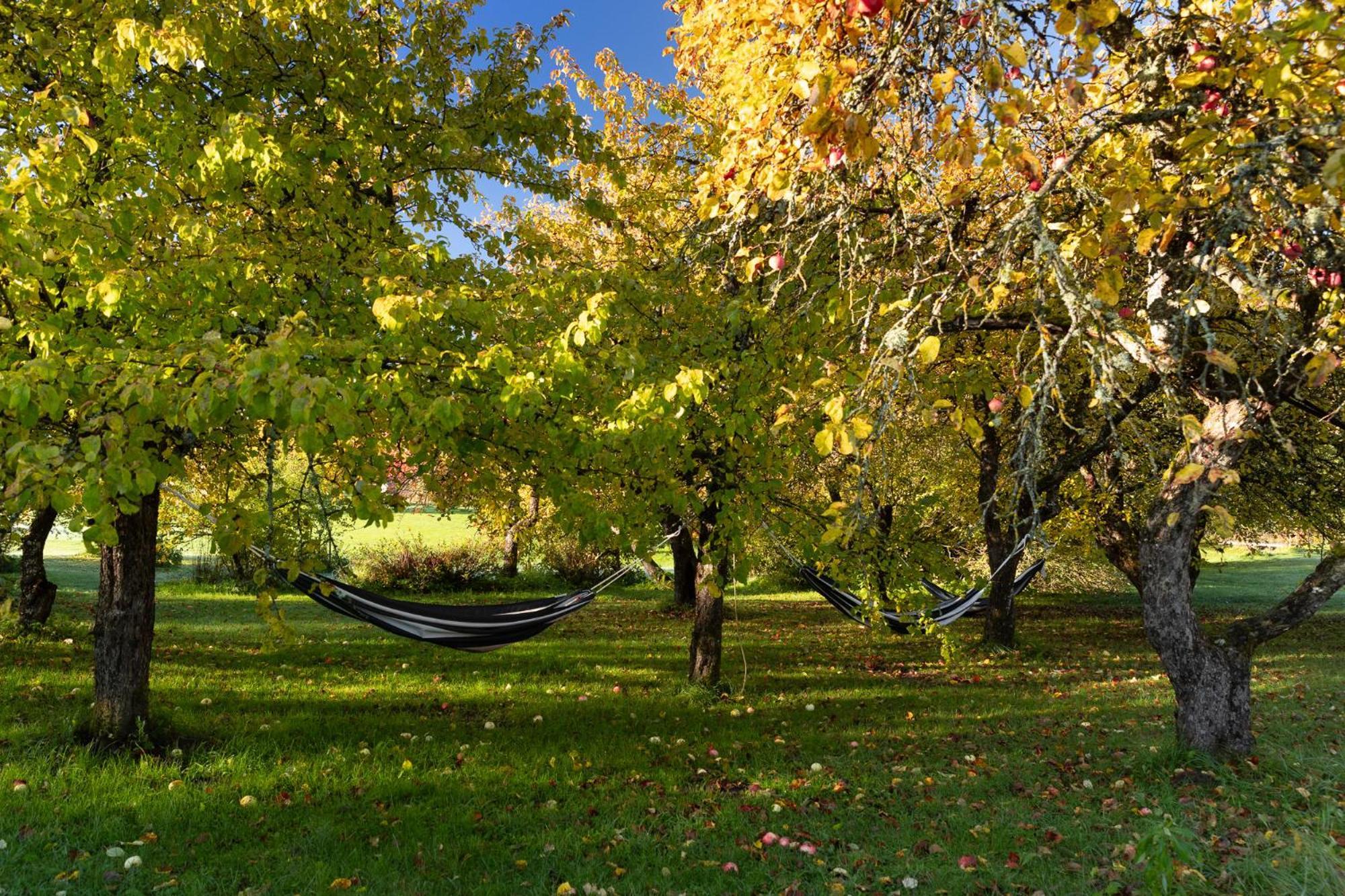 Karlamuiza Country 3* Kārļi